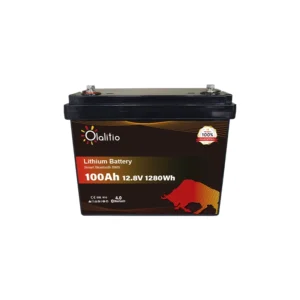 Batería de Litio 12,8V 100Ah 260*170*210mm 10kg Bluetooth 5 años de garantía