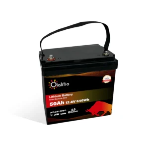Batería de Litio 12,8V 50Ah 228*145*208mm 8kg Bluetooth 5 años de garantía