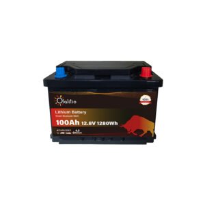 Batería De Litio Debajo Del Asiento 12,8V 100Ah 279*175*189mm 9,3kg Bluetooth 5 años de garantía