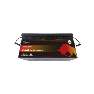 Batería de Litio 38,4V 100Ah 522*240*221mm 31,35kg Bluetooth 5 años de garantía